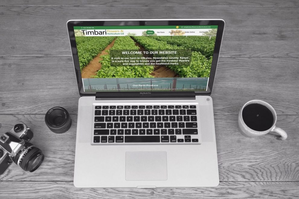 Website design in kenya