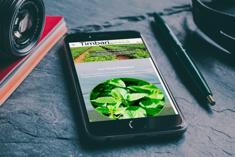 Web design in Nairobi