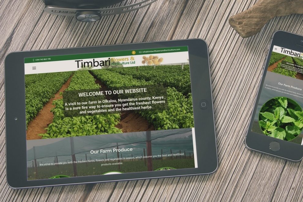 Website design in lavington